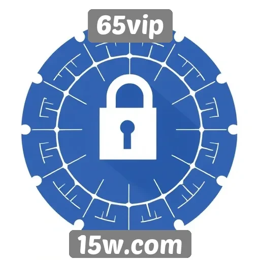 Segurança e políticas de privacidade da 65vip